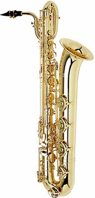 good saxophone on rent delhi