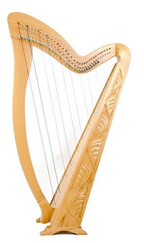 best harp on rent delhi